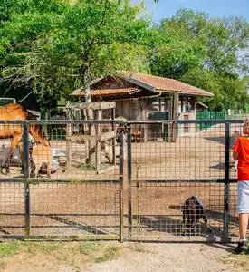 Nos activités auprès des animaux pour les enfants