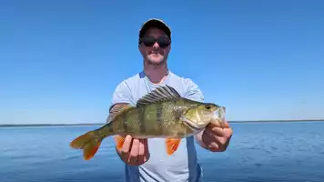 Guide de pêche Arnaud FARMERY Poisson.jpg